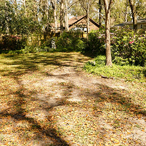 AAA Tree Experts | Tree Service Tallahassee